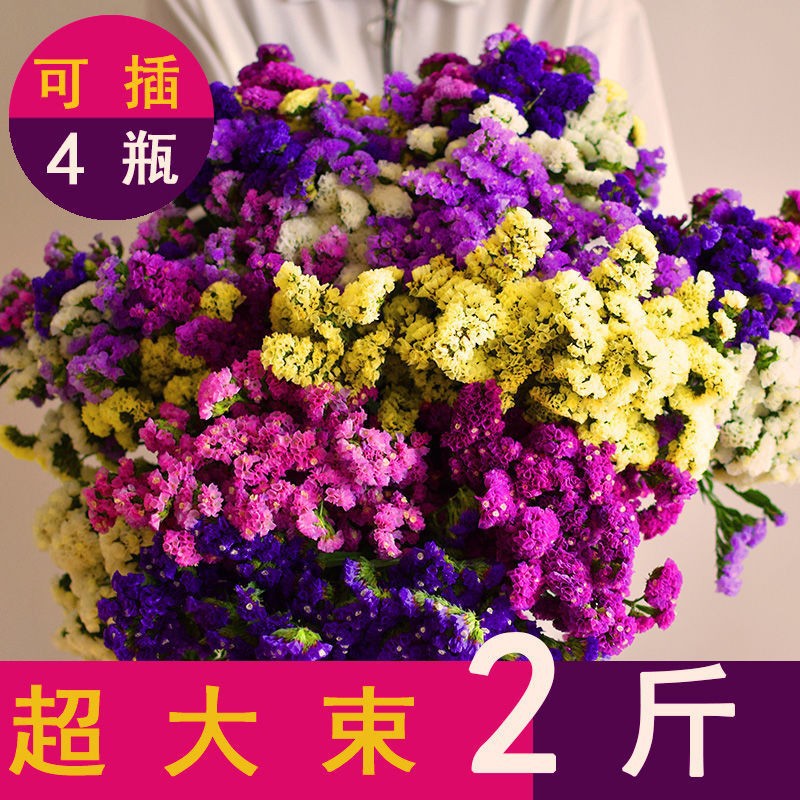 干花DIY材料勿忘我鲜花满天星轻奢高级感插花风干花束手捧年宵花