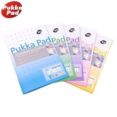 PukkaPad彩色内页可撕单词本