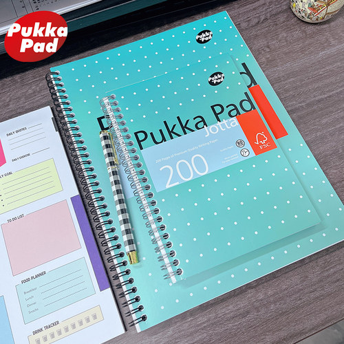 Pukkapad办公简约笔记本