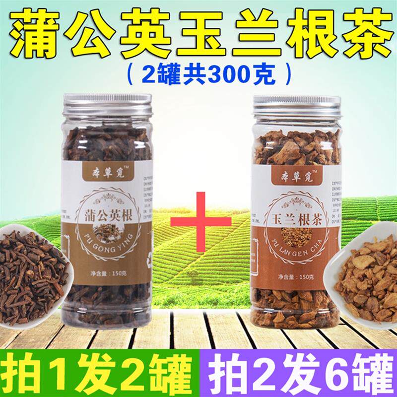 蒲公英玉兰根茶兰菊根茶正品浦公英金玉兰组合非特级葡公英黄玉兰