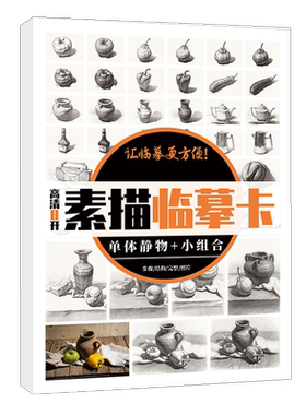 素描临摹卡单体静物小组和 8K卡片高清精微结构八开初级照片画册图片基础入门临摹教材教学教程美术绘画书籍