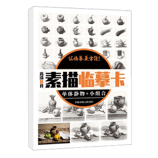 素描临摹卡单体静物小组和 8K卡片高清精微结构八开初级照片画册图片基础入门临摹教材教学教程美术绘画书籍