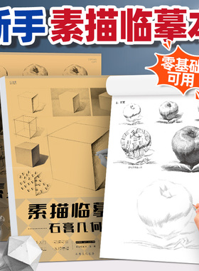 素描临摹纸石膏单体静物画本形体结构新手入门套装照片临摹范本画册书画画绘画初级高考美术教材教学描摹本