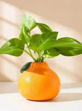 创意橘子花瓶水养绿萝水培花盆花器客厅桌面办公桌装塑料摆件
