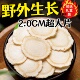 西洋参片正品 官方旗舰店正品 加拿大西洋参花旗参片保健品送长辈