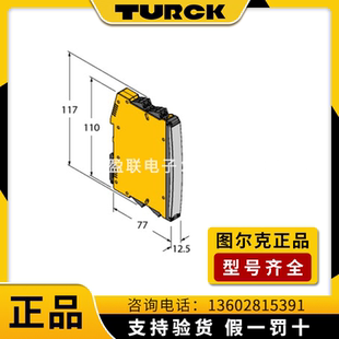 11EX 原装 正品 图尔克安全栅IM34 24VDC隔离栅温度测量放大器