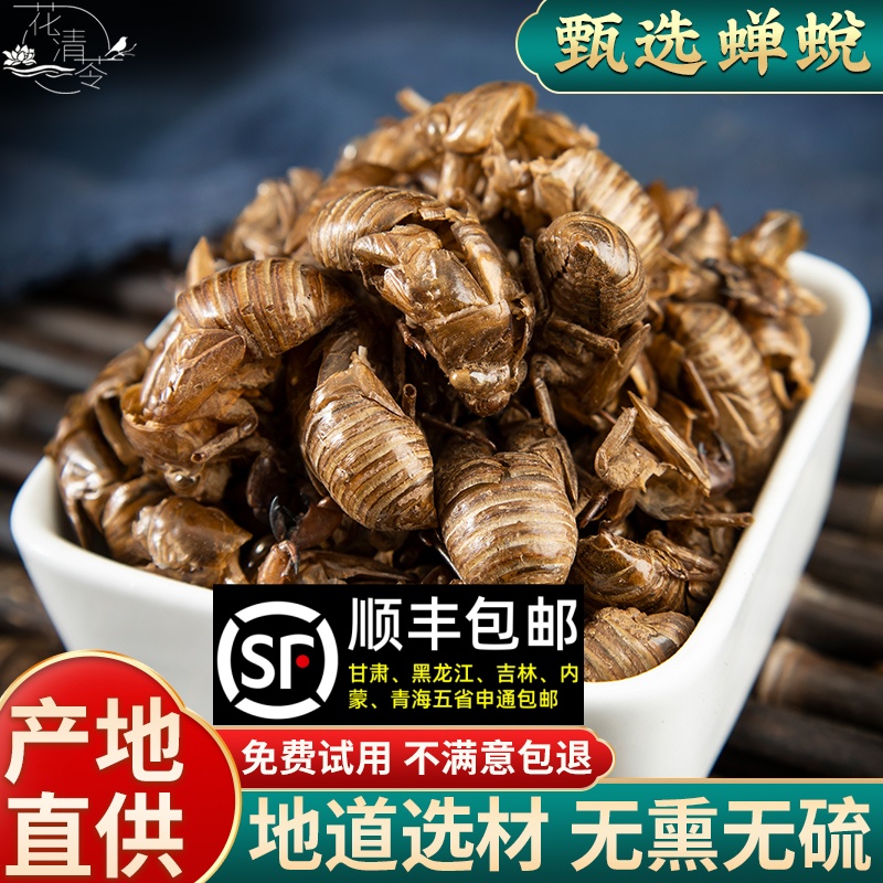 野生蝉蜕100g克蝉衣新货金蝉衣知了皮知了壳虫退蝉退壳中药材包邮