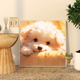 治愈比熊犬DIY数字油画手工绘填充涂色减压油彩定制狗狗装 饰挂画