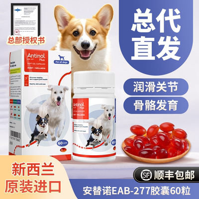 安它诺软骨素凯塔斯保护软骨关节