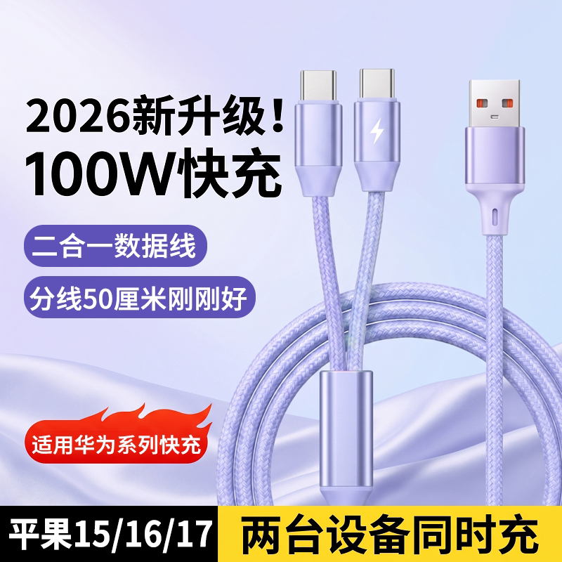 二合一双Type-C100W快充数据线
