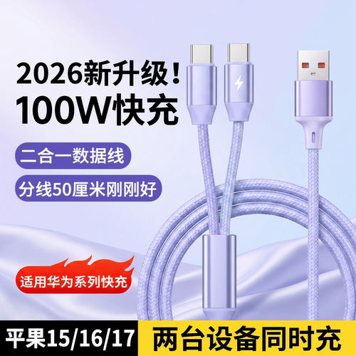 二合一双Type-C100W快充数据线