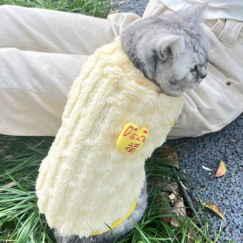 小猫咪衣服秋冬装加绒防掉毛布偶蓝金英短小型犬奶狗加厚可爱背心