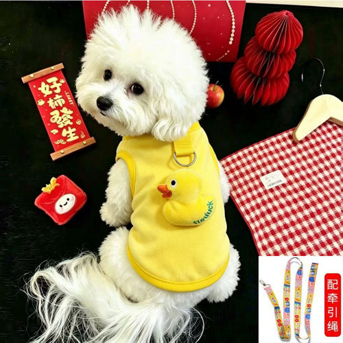 泰迪比熊幼猫幼犬德绒背心防掉毛