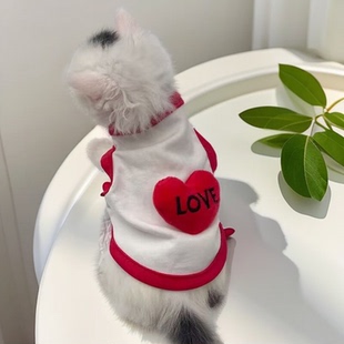 幼猫衣服小泰迪小狗小体茶杯犬奶狗奶猫1个2个月小猫秋冬保暖背心