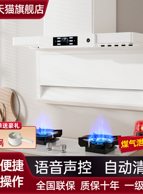 好太太抽油烟机家用厨房大吸力变频白色顶侧双吸油烟机燃气灶套装