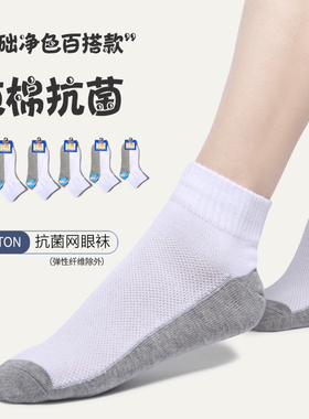 小学生袜子夏季薄款棉袜白色袜子抗菌网眼男童女童中大童白袜校袜