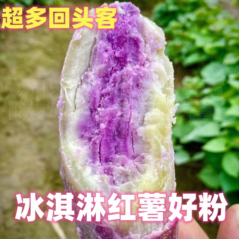 红薯新鲜 正宗冰淇淋红薯新鲜番番薯