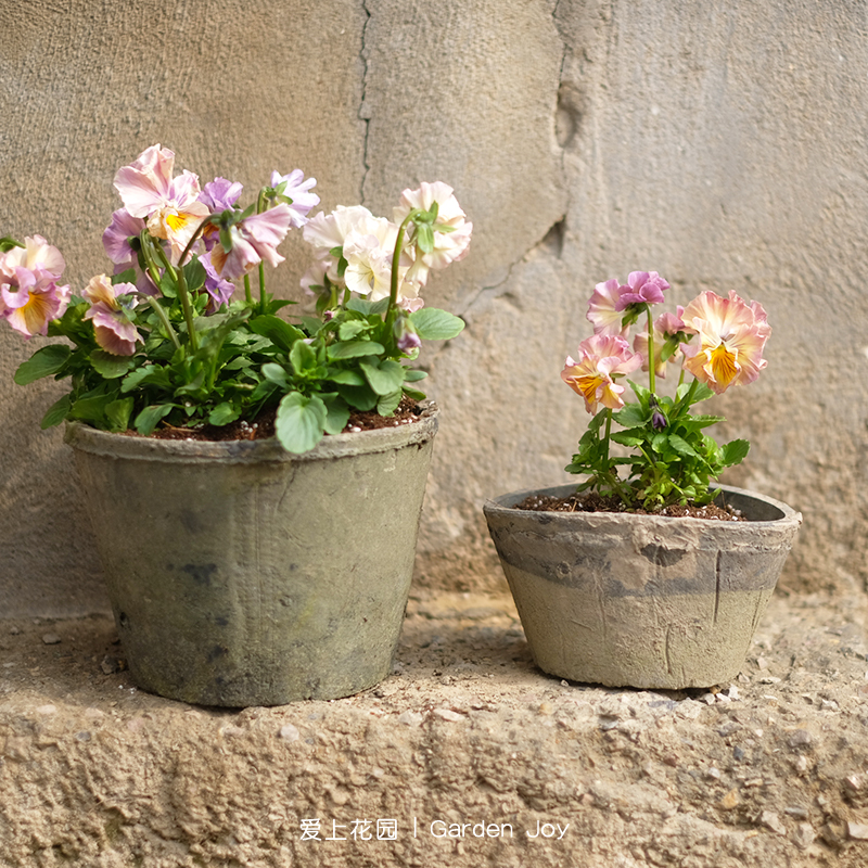 32红陶多肉植物花盆粗陶泥瓦盆国际盆陶瓷绿植花卉盆栽简约透气