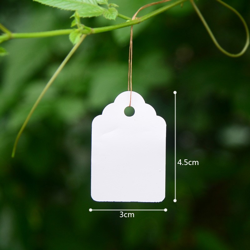 花卉吊牌塑料标签吊签彩色苗木多肉挂牌PVC防水植物标签园艺用品