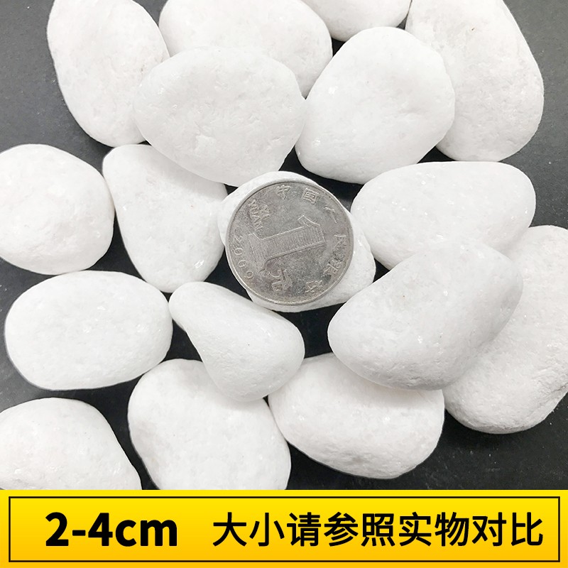 小白石子鹅卵石多肉铺面园艺盆栽造景庭院铺路铺地枯山水白色石头