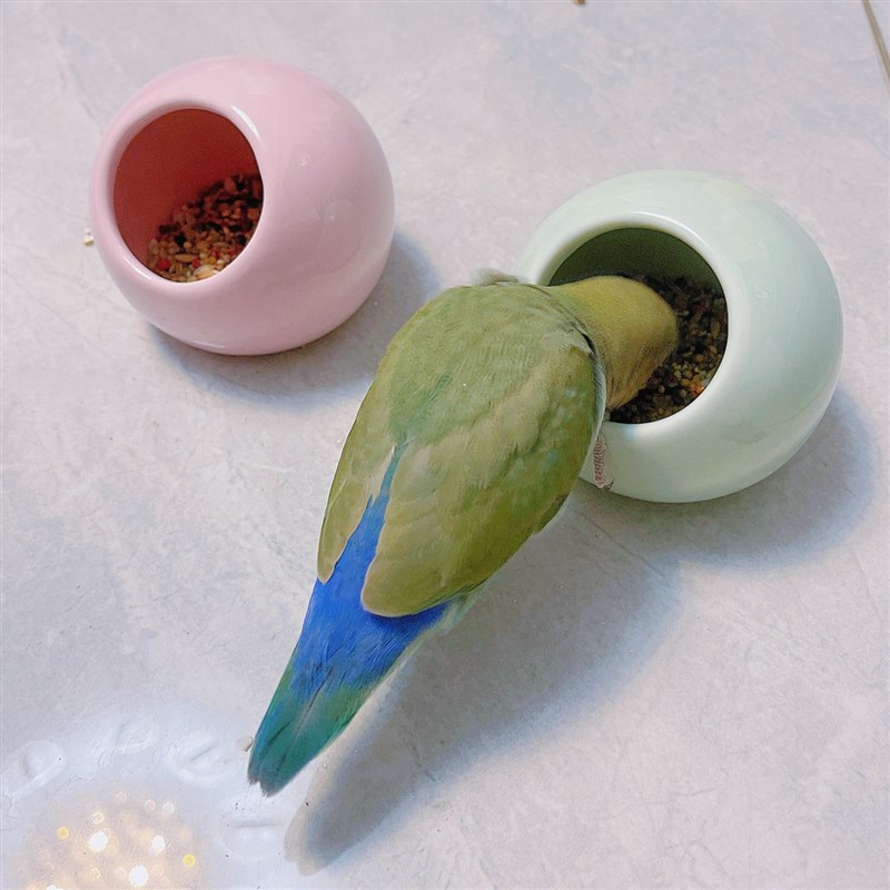 8玖-鹦鹉陶瓷防撒食盆食碗食盒牡丹虎皮玄凤用品仓鼠躲避屋陶瓷窝