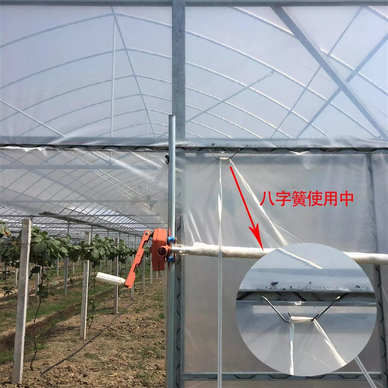 50个包邮大棚配件卡槽压膜绳挂钩镀锌黑色引线簧八字簧膜扣绳双钩
