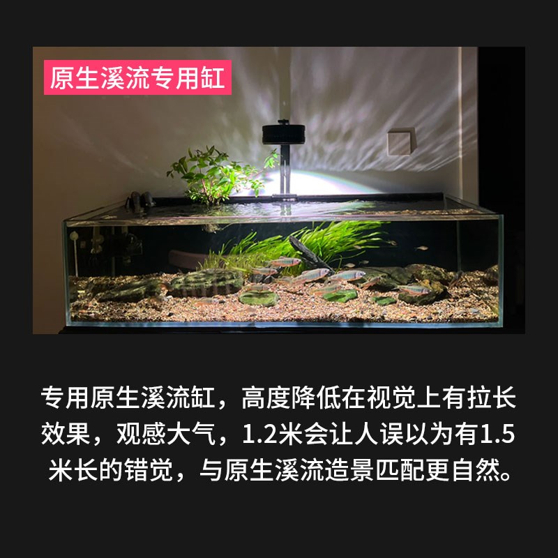 原生溪流缸全套鱼缸底滤原生态石定制工业风超白一体极窄小型南美