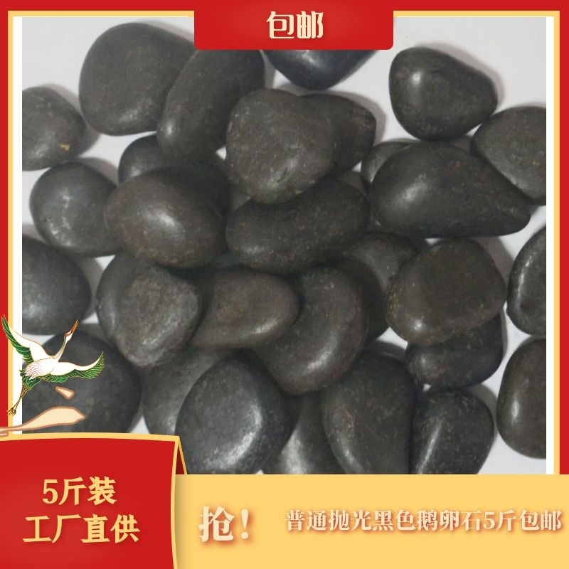 鹅卵石普光庭院造景园艺花卉园林铺路石头鱼缸盆栽水培装饰雨花石