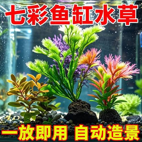 水草缸造景全套餐塑料水草