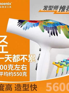 火之凤5600A鹦鹉电吹风机发型师专用专业超轻发廊理发店家用风筒