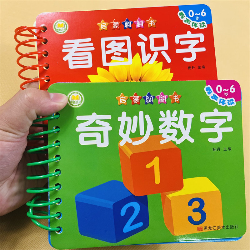 早教卡片 1-6岁宝宝学汉字翻翻书 加大加厚宝宝撕不坏 真实实物彩图