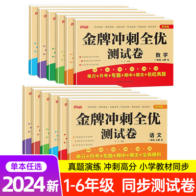 小学语文数学金牌冲刺全优测试卷