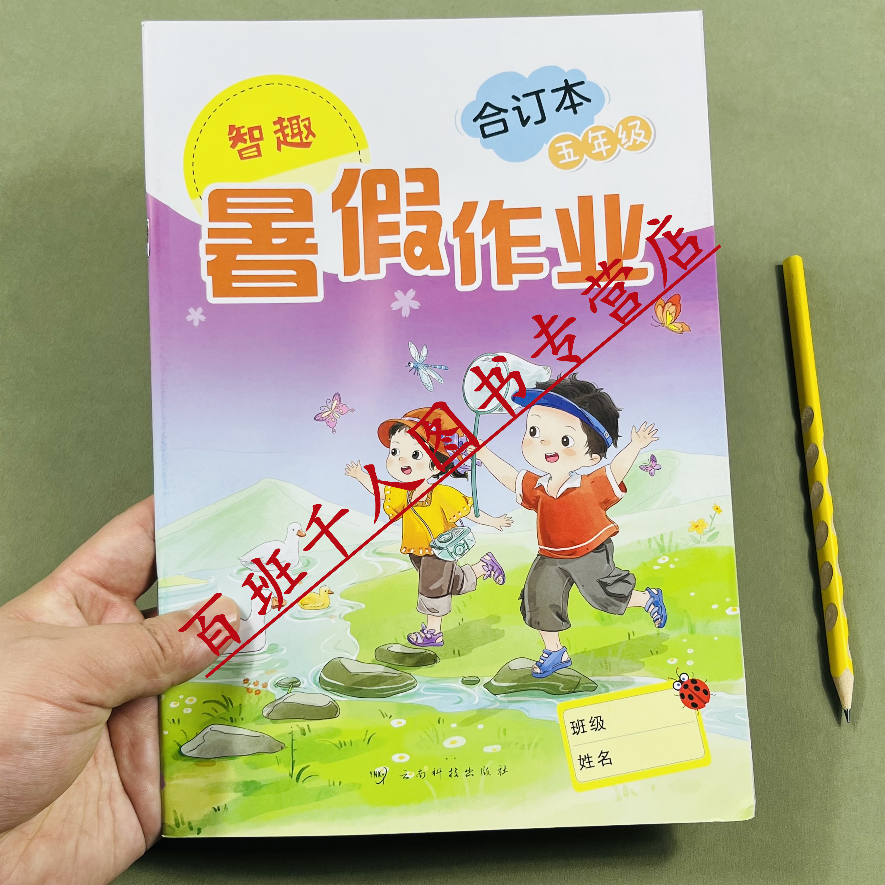 2026版智趣暑假作业合订本五年级
