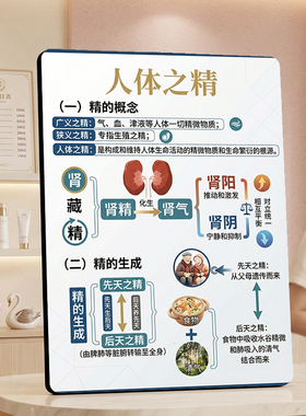 养生馆中医人体之精知识展示摆件中医馆装饰摆牌