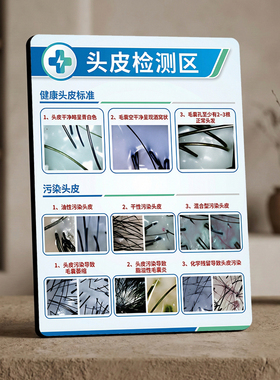 头皮检测科普 美容院皮肤管理店内宣传桌面摆件