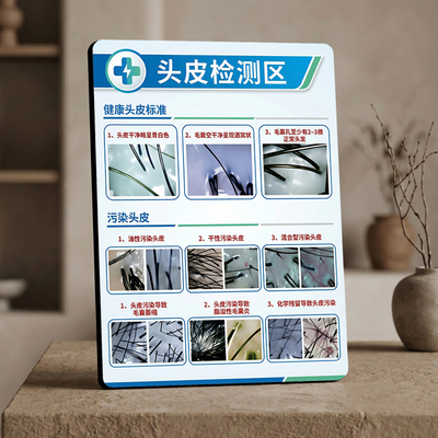 头皮检测科普 美容院皮肤管理店内宣传桌面摆件