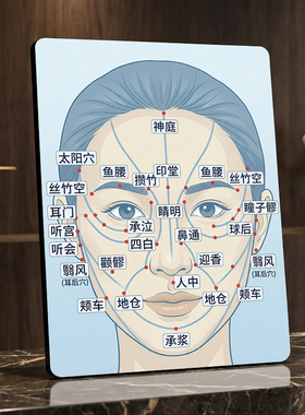 美容院养生馆面部穴位图装饰摆件中医养生参考展示摆台