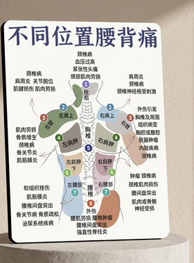 不同位置腰背痛科普 美容院店内宣传桌面摆件