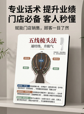 五线梳头法美容院店内展示桌面摆件通经络升阳气