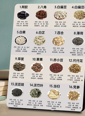 中药材功效科普 美容院店内宣传桌面摆件