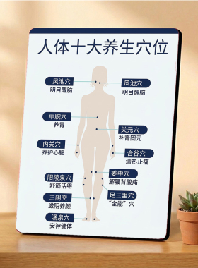 人体十大养生穴位美容院店内展示桌面摆件