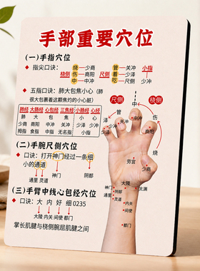 手部重要穴位参考摆台中医经络养生摆件养生馆书桌桌面装饰