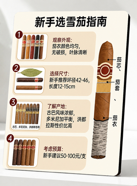 网红新手选雪茄指南展示牌雪茄吧烟酒店客厅创意装饰摆件
