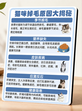 猫咖宠物店前台猫咪掉毛原因科普个性创意桌面实用装饰摆件