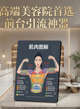 肌肉图解美容院店内展示桌面摆件前台引流神器