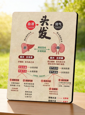 头发肝肾养发科普 美容院店内宣传 桌面摆件