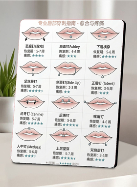 专业唇部穿刺指南美业店内展示桌面摆件