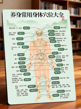 养身常用穴位大全 美容院店内展示桌面摆件