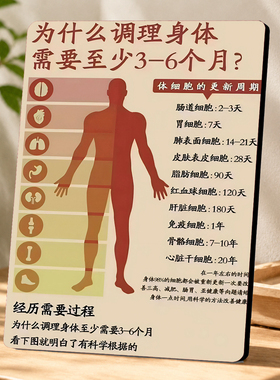 中医养生馆身体调理周期科普装饰摆件门店桌面立式展示牌