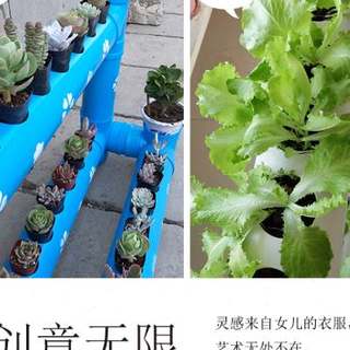 PVC管道创意阳台花架花盆室内种菜机栽培自然角架子落地塑料花架